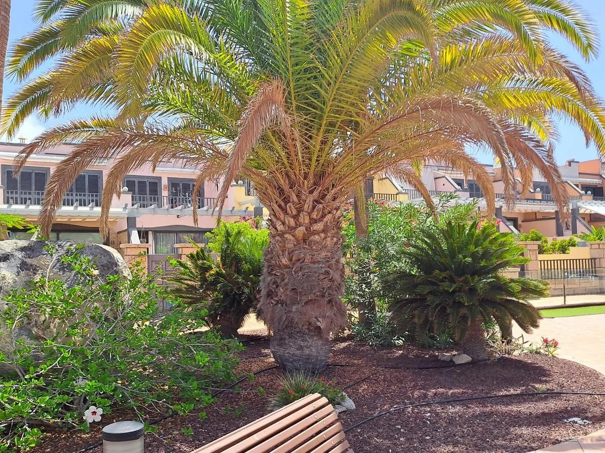 Modern Townhouse Ocean Front Βίλα Costa Adeje  Σπίτι διακοπών Costa Adeje (Tenerife)